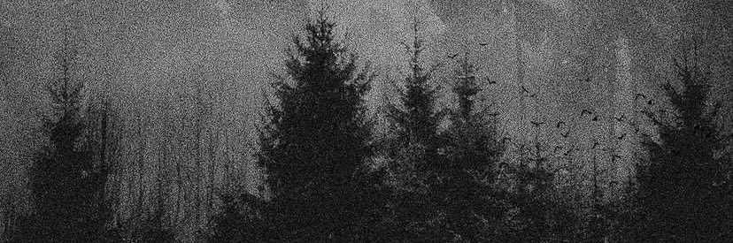 athraid_'s profile banner image