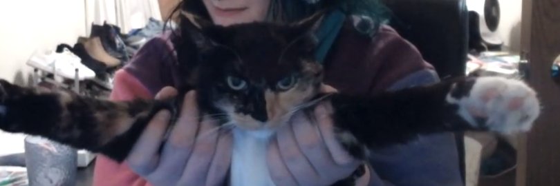 buffoonbitch's profile banner image