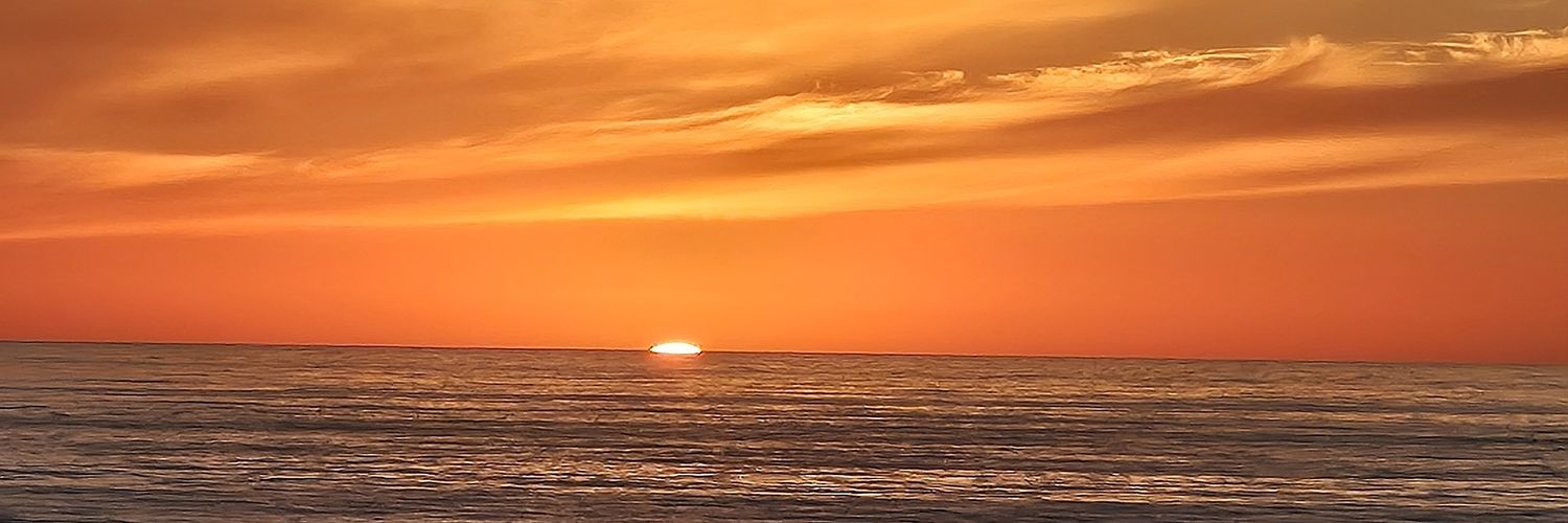 ffirehawktj's profile banner image