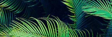 ryouker's profile banner image