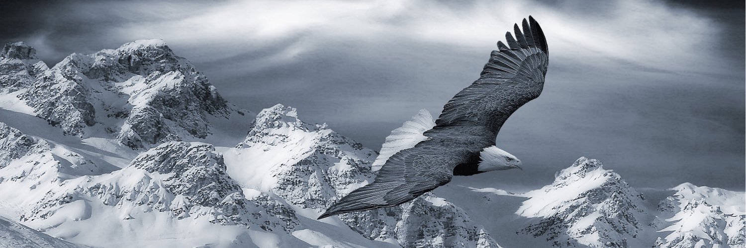 marcusplating's profile banner image
