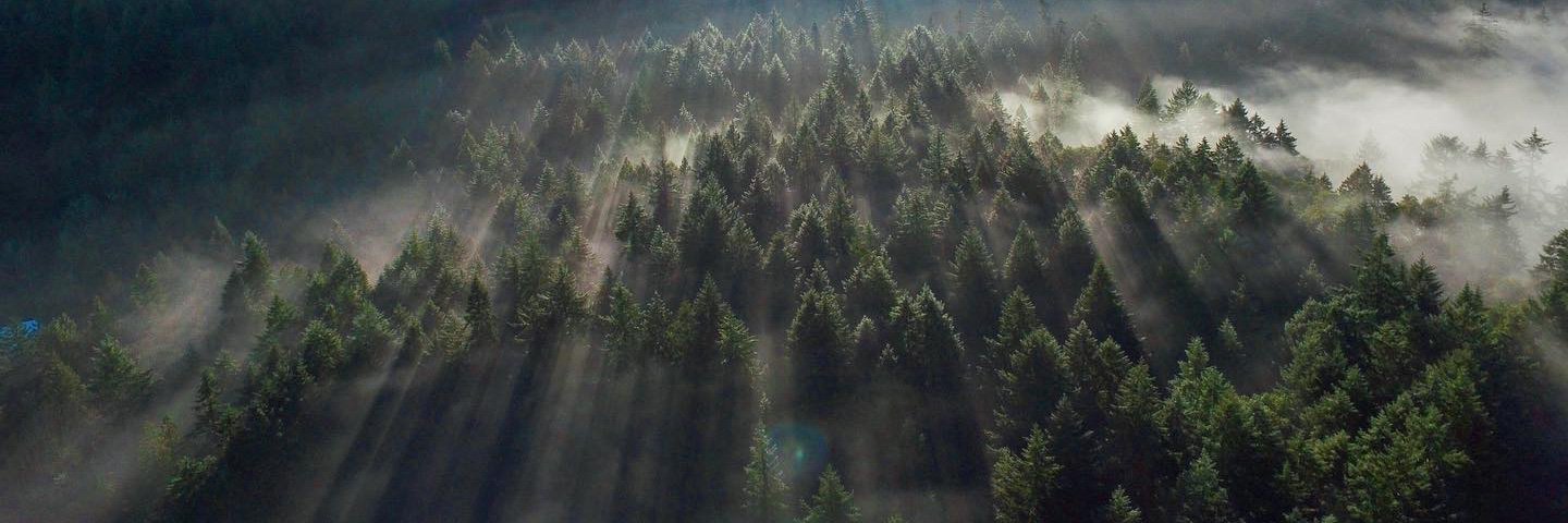 jaredbayley's profile banner image