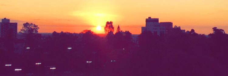 brunaessig's profile banner image