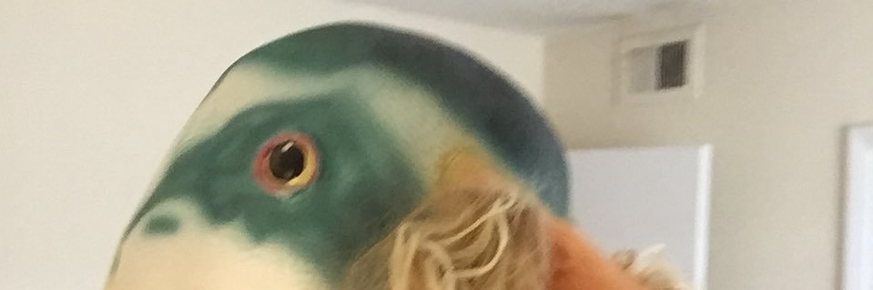 foiegramen's profile banner image
