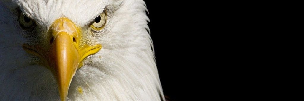 Nackerson1's profile banner image