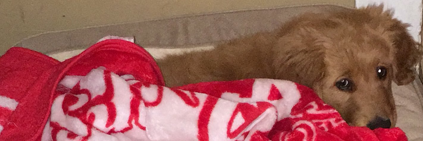 JessicaRios19's profile banner image