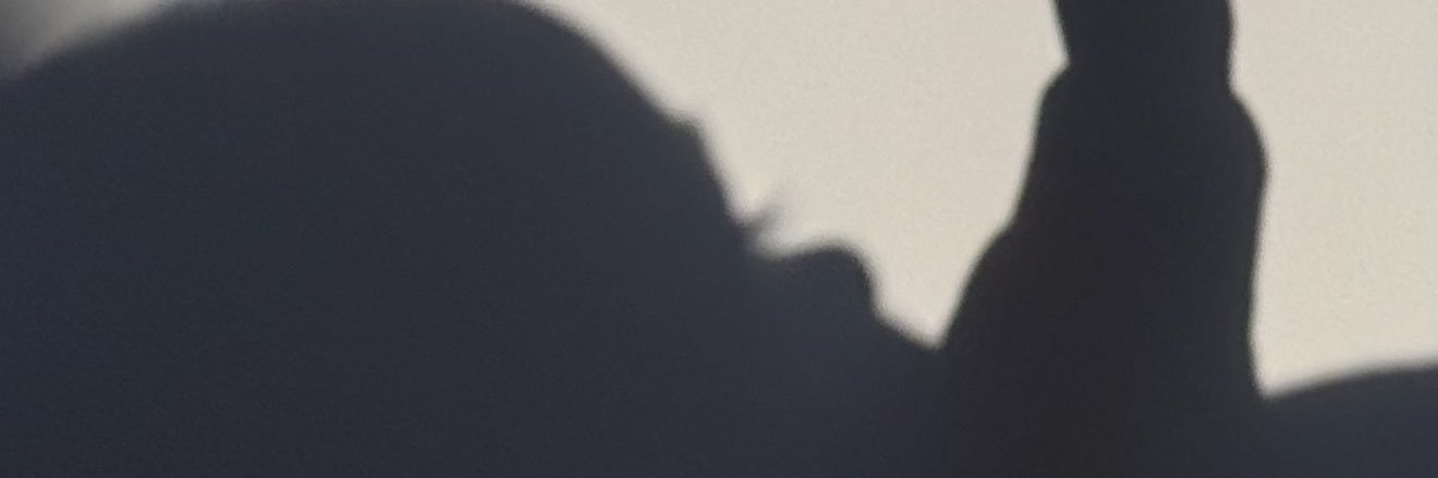 DaniaLiera's profile banner image