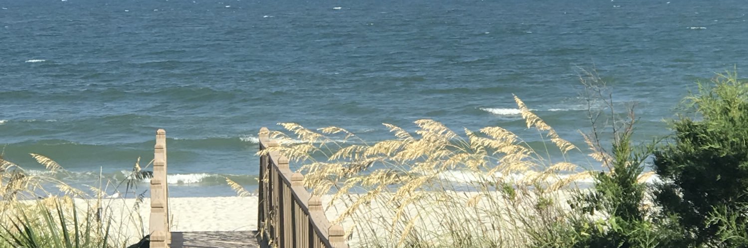 CaraBittinger's profile banner image