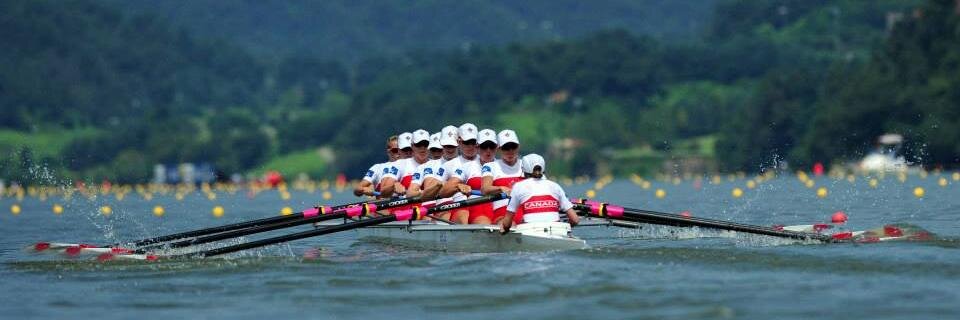 Christine Roper banner