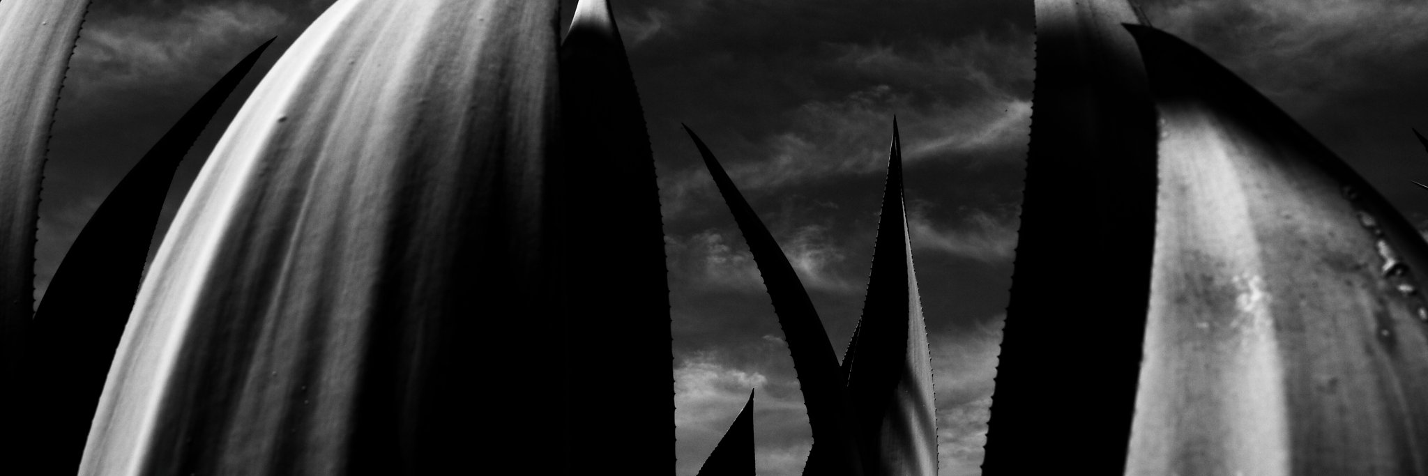 SebastianRochaV's profile banner image