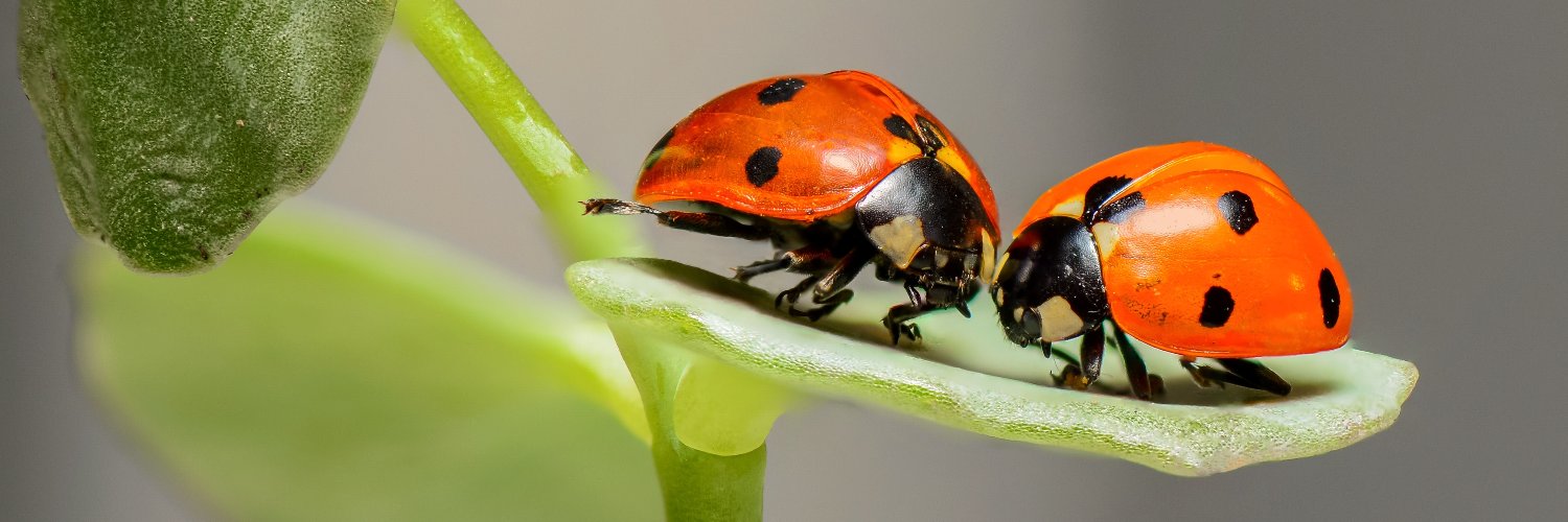 Plant Something Together banner
