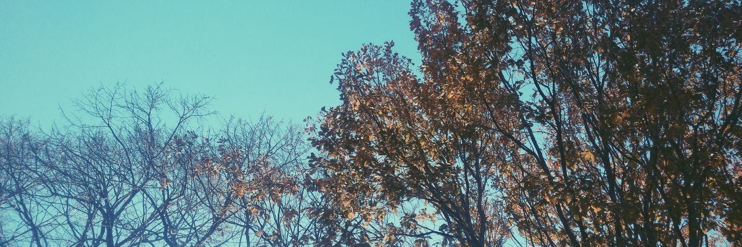 itsme3ms's profile banner image