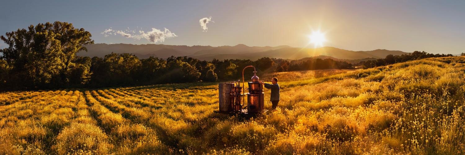 LOCCITANE_au's profile banner image
