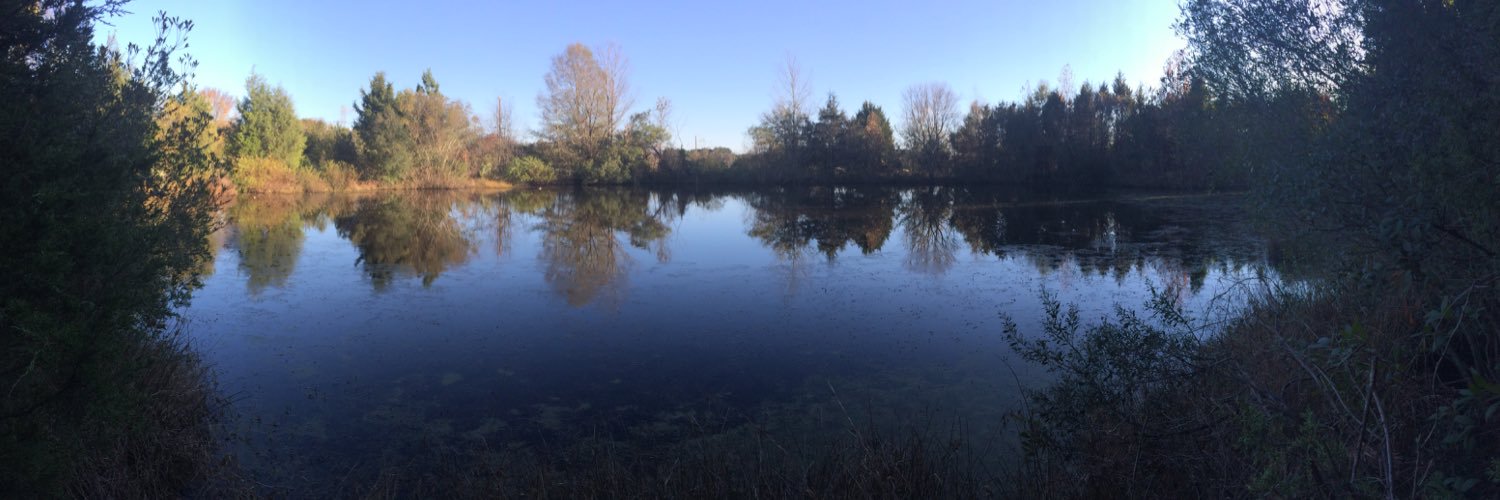 nickmfishing's profile banner image