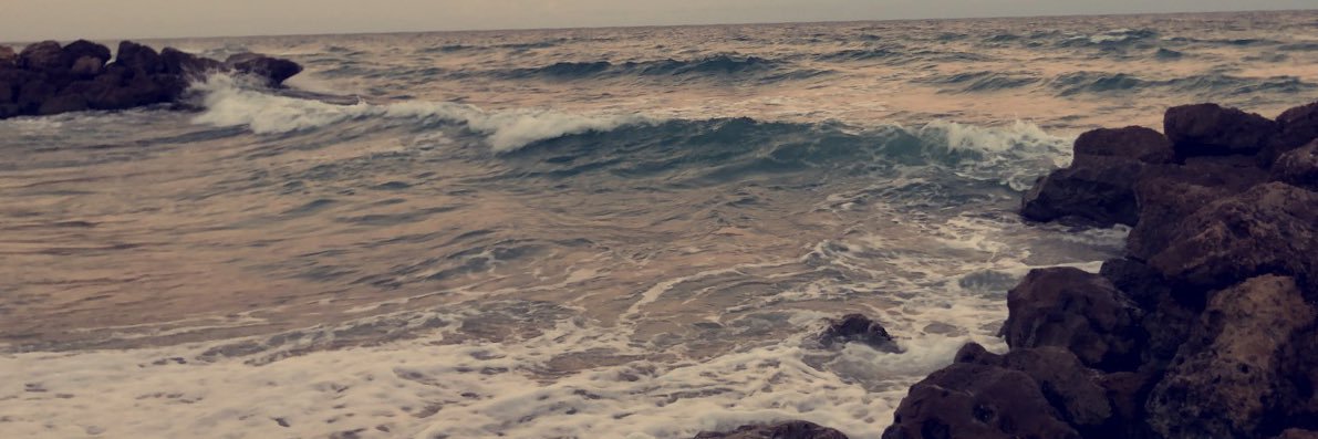haylee_Rosee's profile banner image