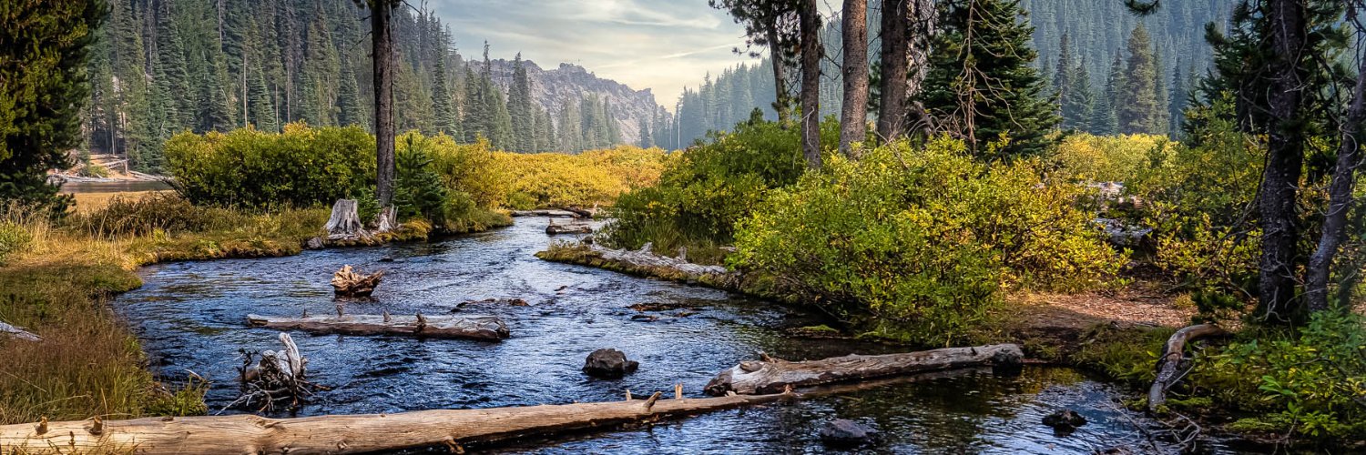 KAFrenchPhoto's profile banner image