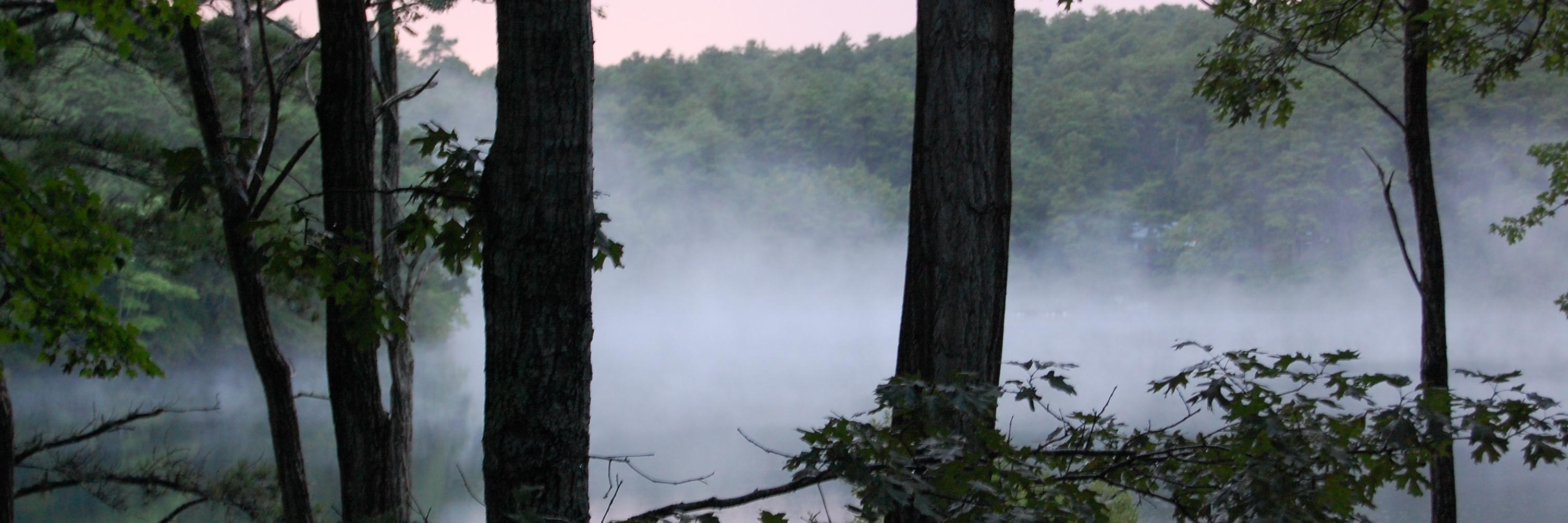 Dorothy Caeser banner