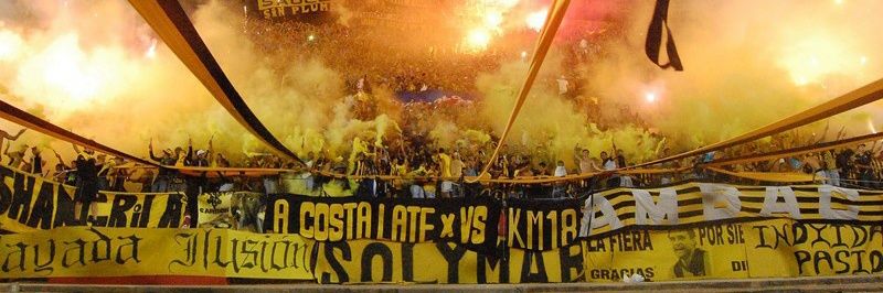 Rodrigo Machado banner