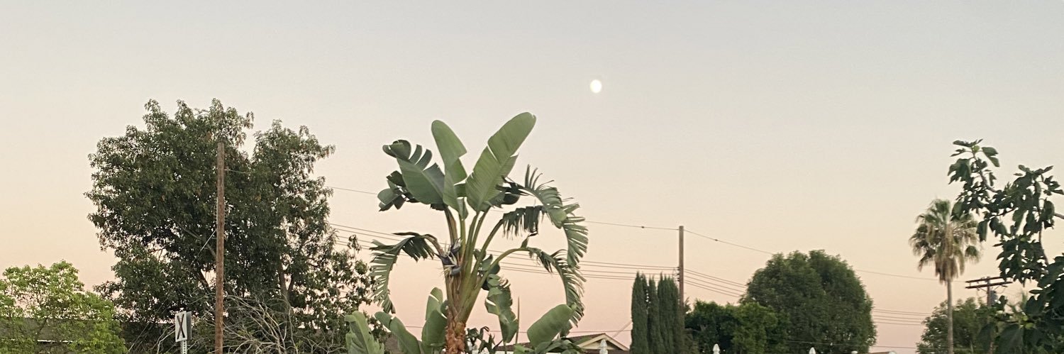 realromey's profile banner image