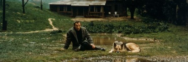 s_kei's profile banner image