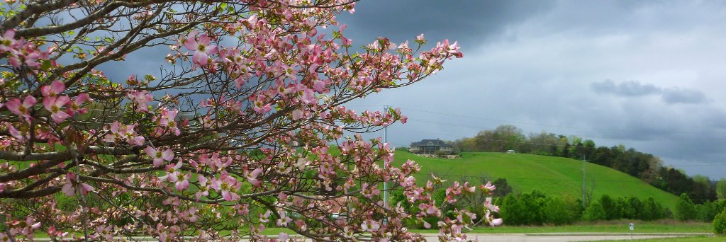 cclemens49's profile banner image