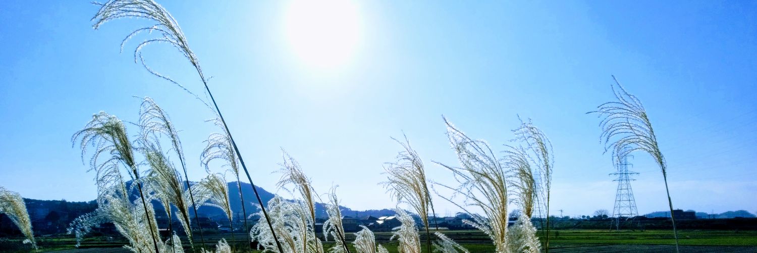 koji49491's profile banner image