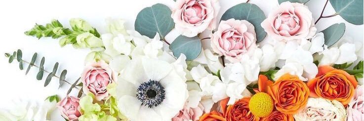 leeshthomas's profile banner image