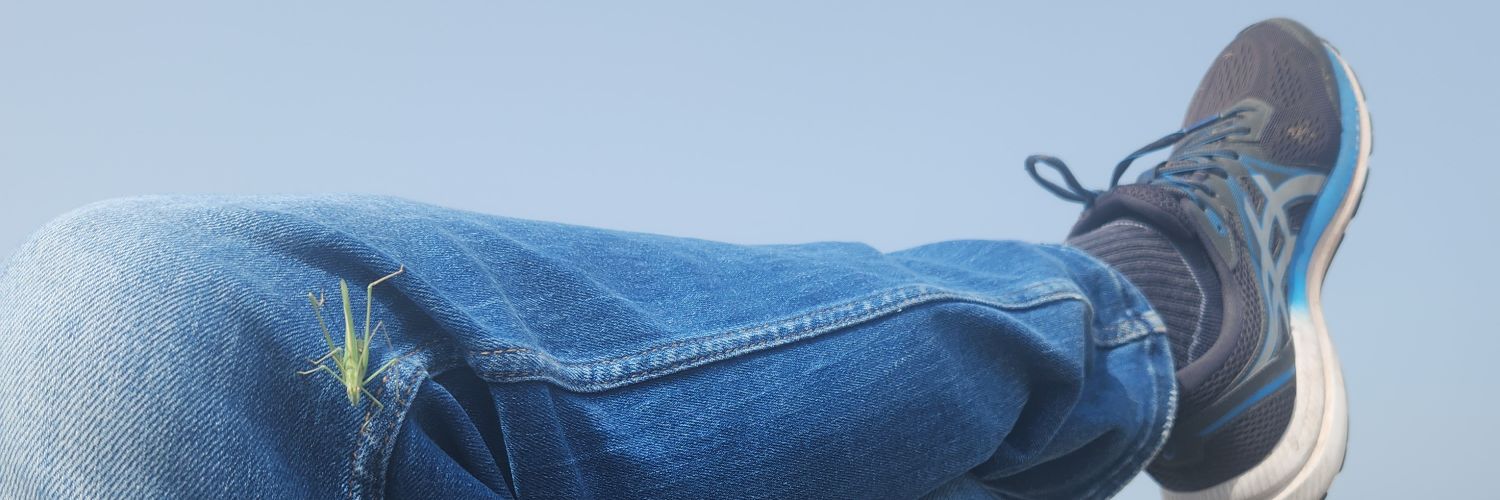 Dachlil's profile banner image