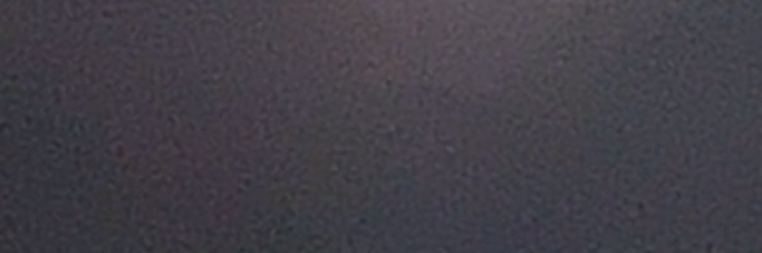 bluecheeseVol's profile banner image