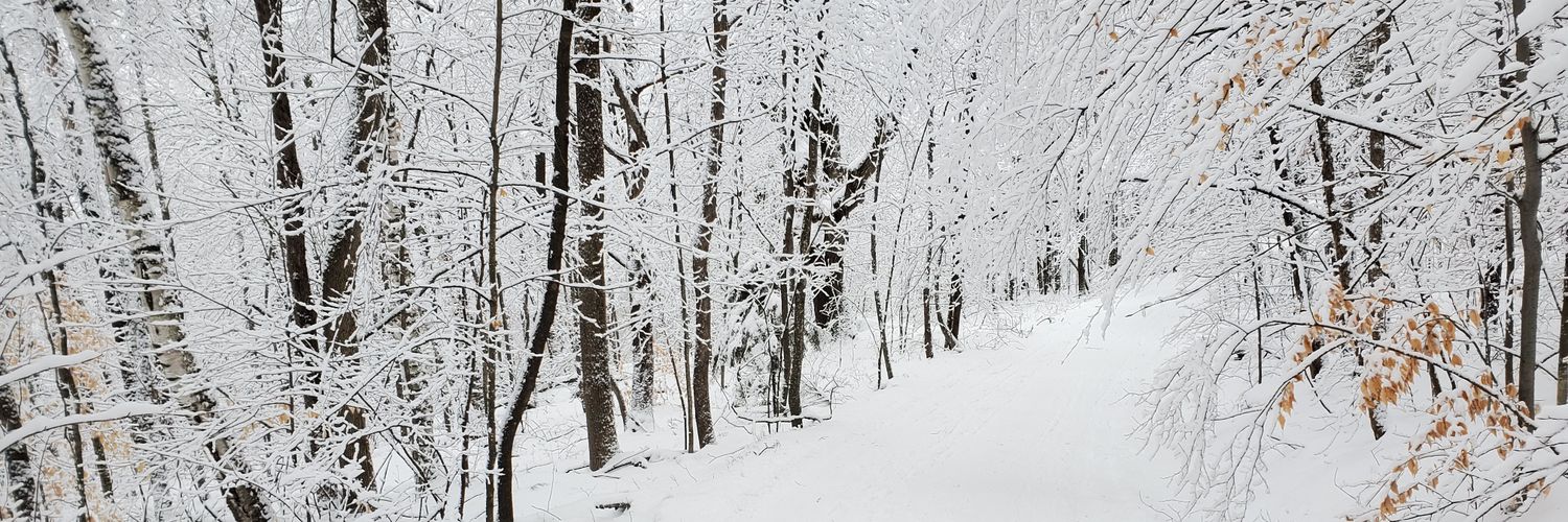 MuddledVt's profile banner image