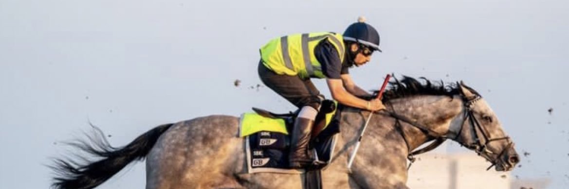 Newmarket Informer. banner