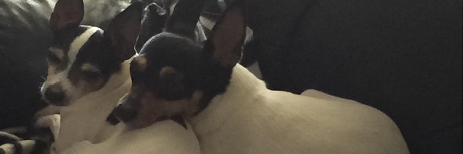 dmhuhn's profile banner image