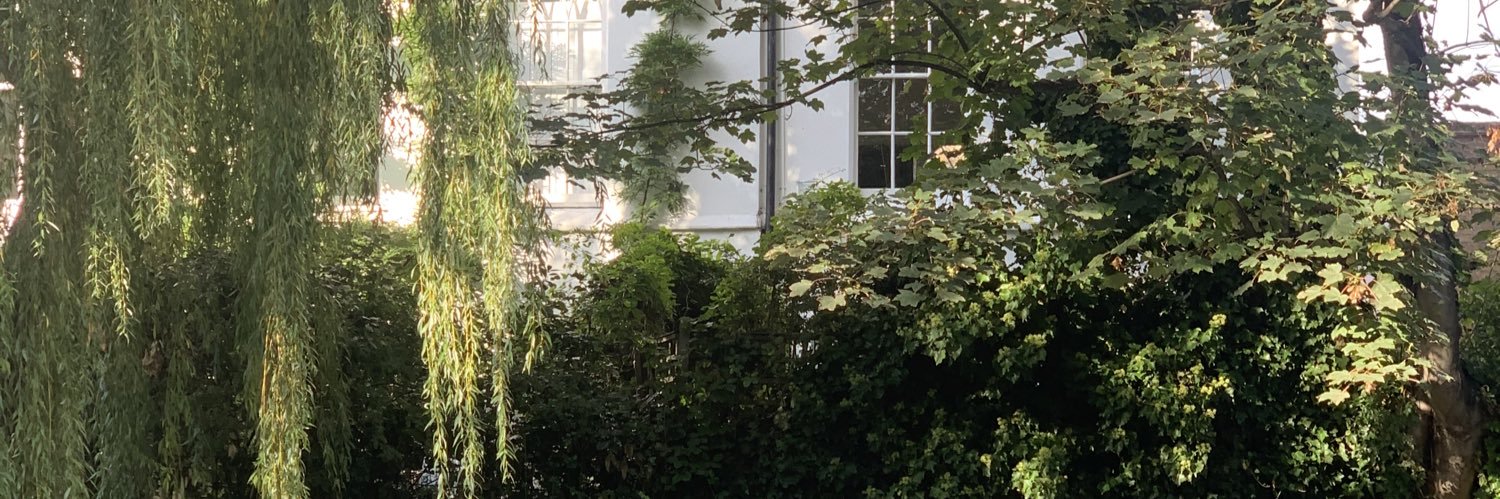 Natália A. banner