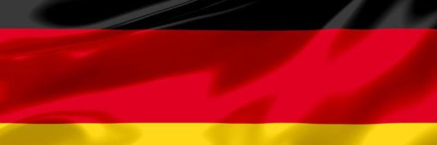 Only the AfD can save Germany ! banner