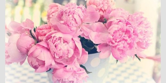 warner_lauren's profile banner image