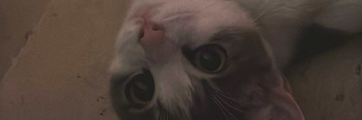 𝙰𝚗𝚊 𝚋𝚊𝚗𝚊𝚗𝚊𐙚 banner