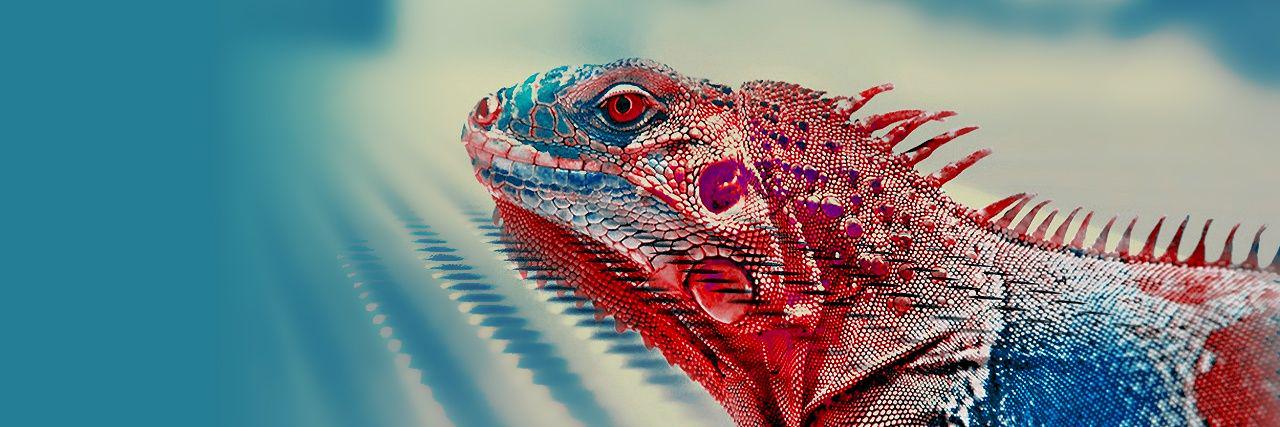 VictorMestizo's profile banner image