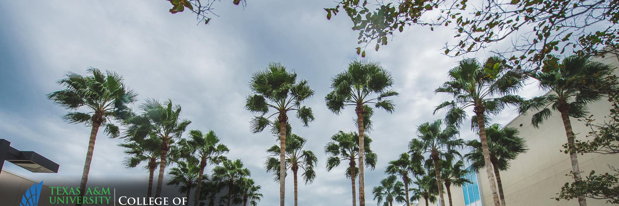 TAMUCC_CGS's profile banner image