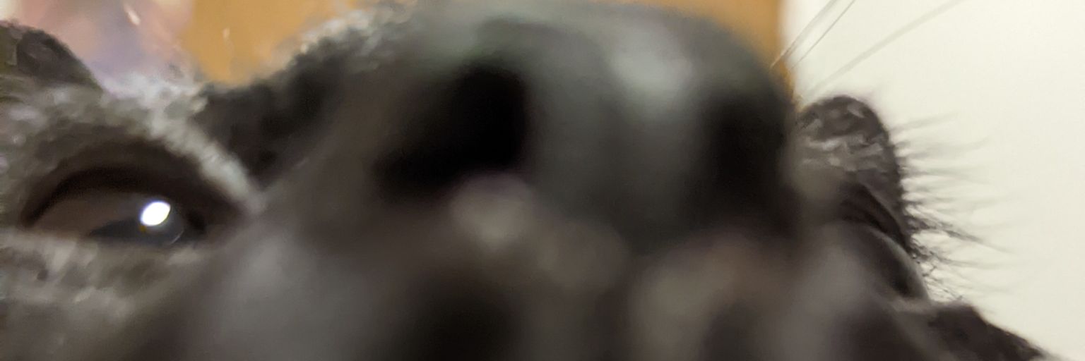 Witch Image 🌞BG3 addicted banner