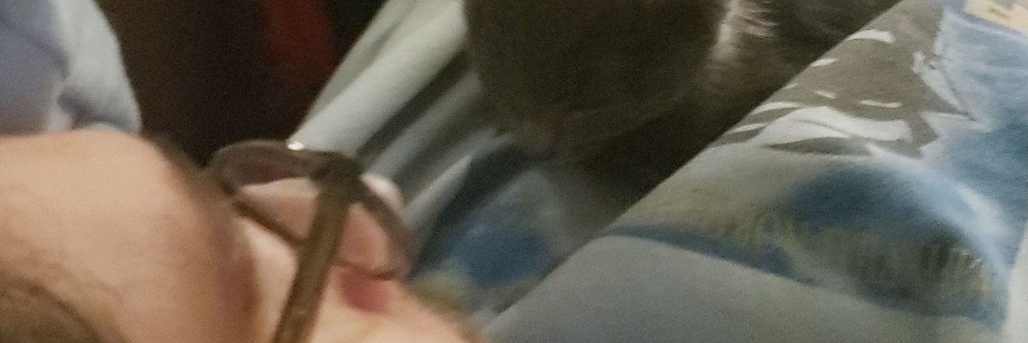 T_Hugglez's profile banner image