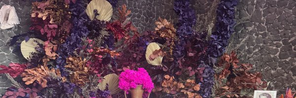 danielle_liat Profile Banner