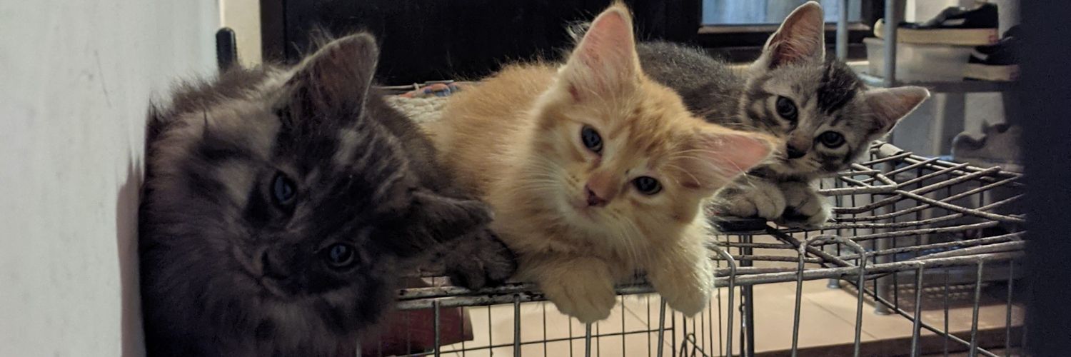 Teddy Haryanto banner