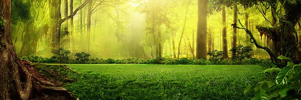 Livewebcasting1 Profile Banner