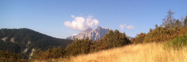 Maria_Casellas Profile Banner