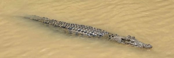 DFATNT Profile Banner