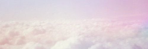 zaracamellia's profile banner image