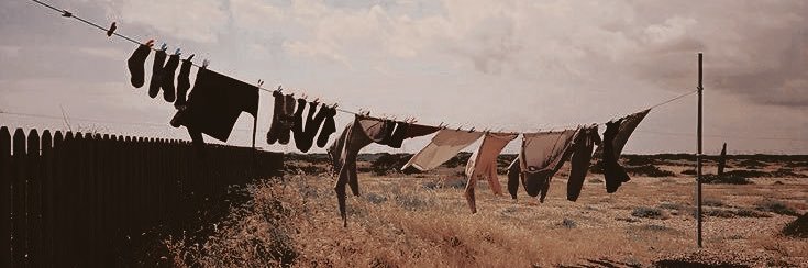 * 𝐝𝐢𝐧𝐞𝐫 𝐠𝐢𝐫𝐥 .ᐟ banner