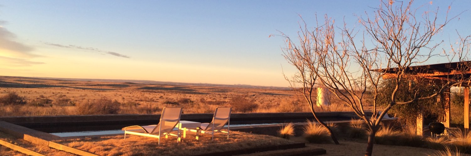 GraceSheehan's profile banner image
