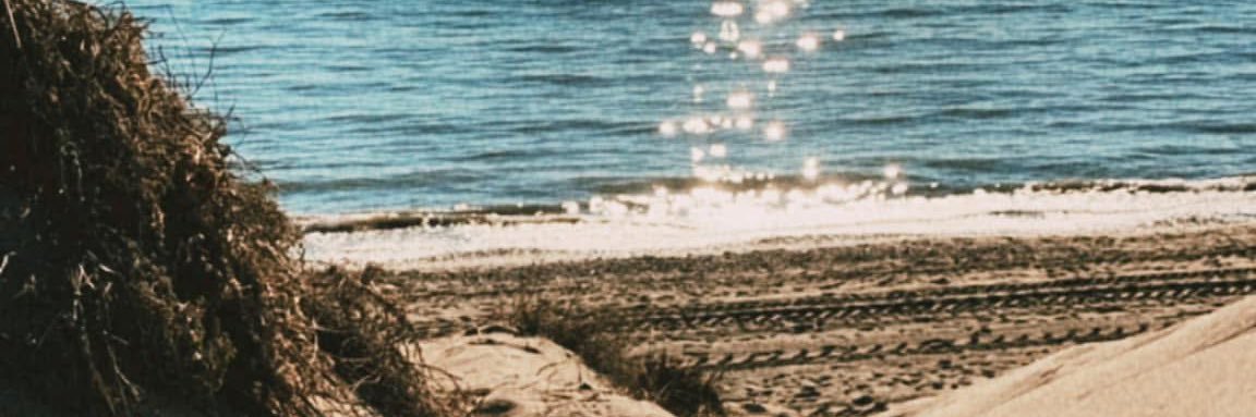MusicaMarbella's profile banner image