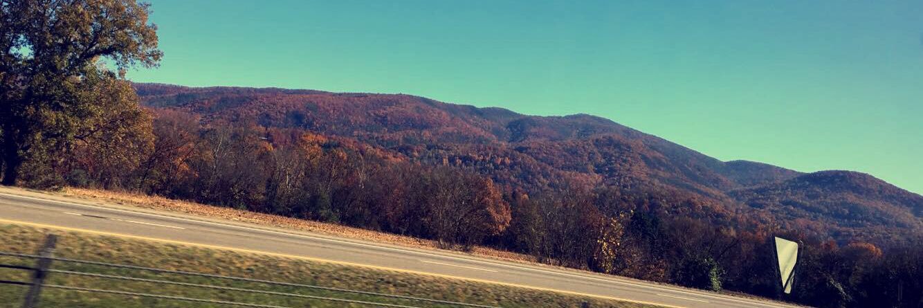 bailey_burr23's profile banner image